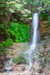 Fern Waterfall